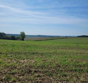 Ribeauville - Oudeuil - 4