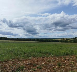 Campagne vallonnée autour de Varennes - Varennes - 4