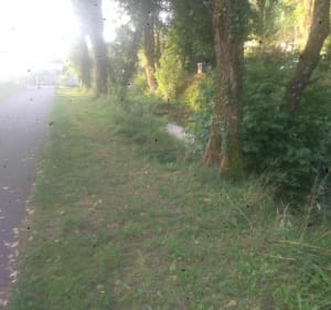 Très  beau parcours, pour une belle balade à Périgueux - Trélissac - 3