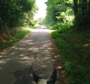 Petites routes de Saint-Geours-de-Maremme vers l'Adour - Saint-Geours-de-Maremne - 4