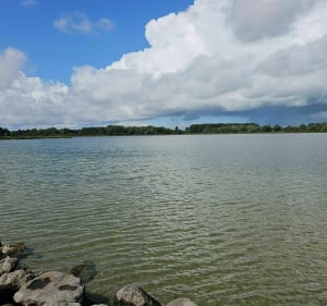 Marche au lac de Téteghem - Téteghem-Coudekerque-Village - 4