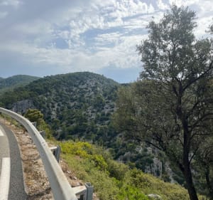 Le Mont Caume depuis Sanary - Ollioules - 4