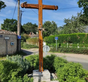 Balade au départ des Chanterelles - Olivet - 3