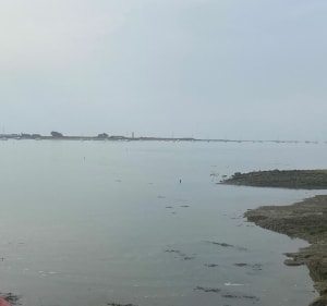 Le Tour-du-Parc de la Presqu île de Rhuys - Le Tour-du-Parc - 3