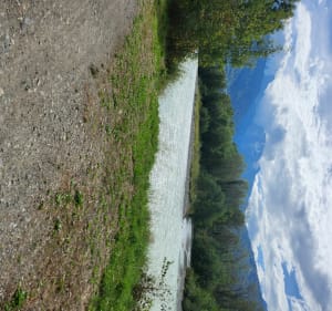 Balade dans la plaine : Chedde / Lac de Passy - Passy - 4