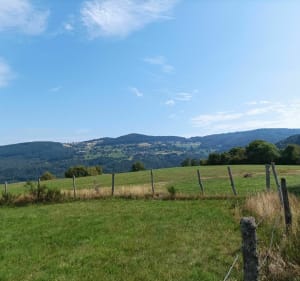Circuit Bas Lachamps - Colroy-la-Roche - 5