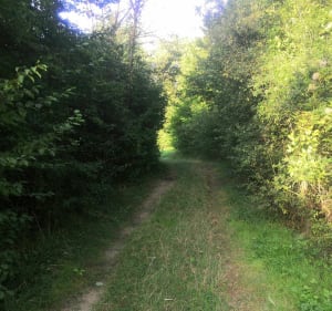 Fraîcheur entre Seine et canal - Payns - 3