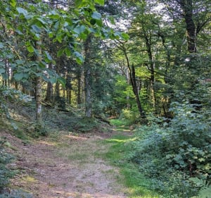 Parc de Vision - Xavier - 5