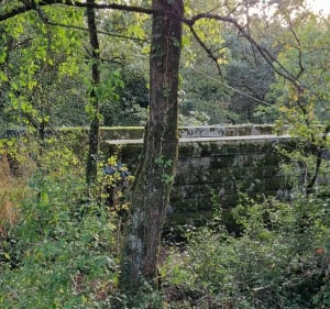 Balade entre Deux-Sèvres et Maine-et-Loire - Saint-Pierre-des-Échaubrognes - 4