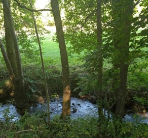 De St Jean Soleymieux à Chazelles sur Lavieu - Chazelles-sur-Lavieu - 3