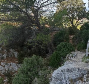 Rando dans les Alpilles au Mont Gaussier - Saint-Rémy-de-Provence - 4