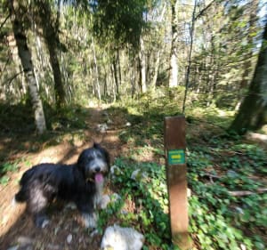 Sentier botanique de Filéas - Le Bourget-du-Lac - 3