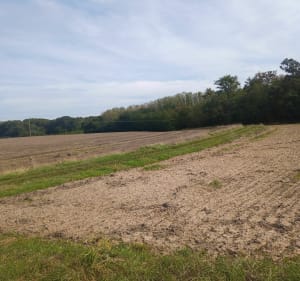 Balade autour de Sambin - Sambin - 4