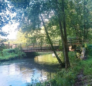 Autour de l'étang de Ponts et Marais - Ponts-et-Marais - 5