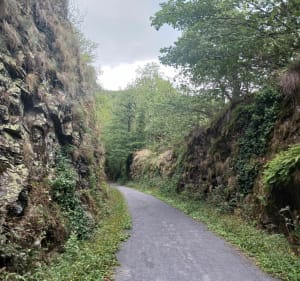 Petite marche sur le chemin du petit train des Monts de Lacaune. - Lacaune - 3