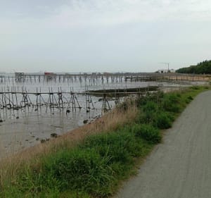 Balade de Saint Herblain et Saint Brévin L'Ocean - Saint-Brevin-les-Pins - 5