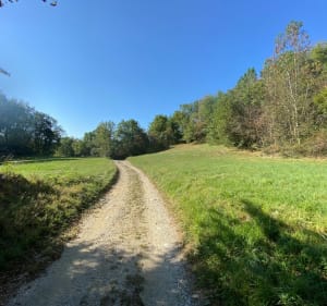 Chambotte, Sapenay, Meyrieu - Entrelacs - 5