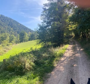 Entre voie verte et sous-bois à Varenne - Saint-Julien-du-Pinet - 3