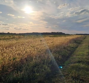 Boucle de Poitiers à Chauvigny par les chemins - Poitiers - 3