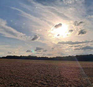 Boucle de Poitiers à Chauvigny par les chemins - Poitiers - 4