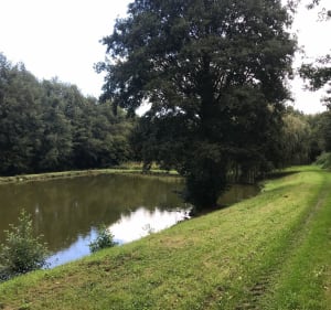 Balade VTT Château La Vallière, Brèches et Couesmes - Château-la-Vallière - 3