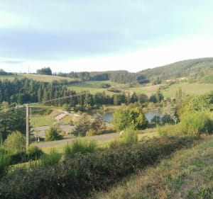 De Vaugneray à Yzeron, en passant par le col de Malval - Vaugneray - 4