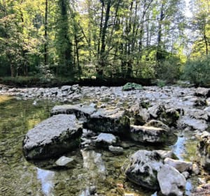 Gorge de la Langouette - Foncine-le-Bas - 3