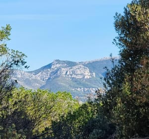 Boucle du Bau Rouge dans la forêt de Janas - La Seyne-sur-Mer - 4