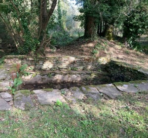 Randonnée des 3 étangs - Pont-l'Abbé - 5