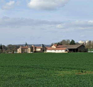 Marche entre le Pas du loup et La Horgne - Montigny-lès-Metz - 5