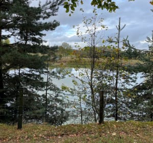 Entre campagne et bois autour de Lérigneux - Lérigneux - 3