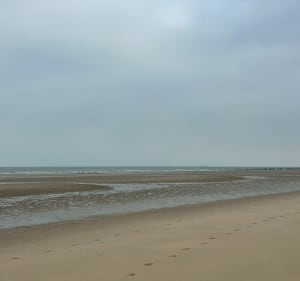 Randonnée sur le sentier de la réserve naturelle du Platier d'Oye - Oye-Plage - 3