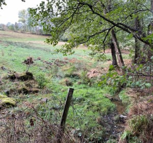 Entre campagne et bois autour de Lérigneux - Lérigneux - 4