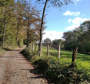Balade au Malsaucy en passant par Lachapelle-sous-Chaux - Sermamagny - 4