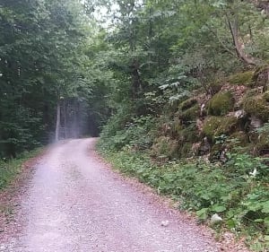 Boucle Gravel dans le magnifique fond de Vallée de Réallon - Saint-Apollinaire - 3