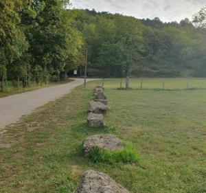 Col des Justices et le Gros Molard - Val-Revermont - 3