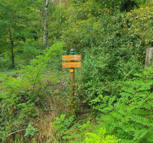 Col des Justices et le Gros Molard - Val-Revermont - 5