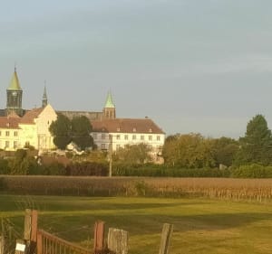 De Morschwiller-le-Bas au barrage de Michelbach en VTTAE - Morschwiller-le-Bas - 2