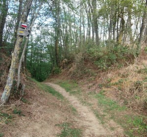 Balade en VTT autour de Pamiers - Pamiers - 4