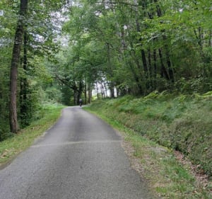 Balade en VTT autour de Pamiers - Pamiers - 5