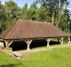 Balade bucolique au gré de la Vingeanne - Beaumont-sur-Vingeanne - 3