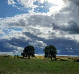 Balade bucolique au gré de la Vingeanne - Beaumont-sur-Vingeanne - 4
