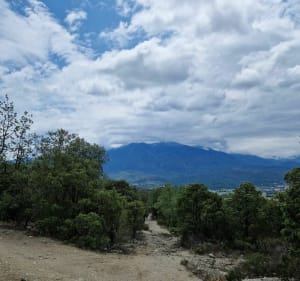 Sur les hauteurs de Los Masos - Los Masos - 4