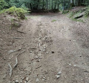 Boucle Croix de Chaubouret le Bessat - Thélis-la-Combe - 3