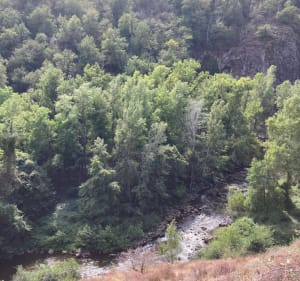 Château de Thuriès, sentier des crêtes et vallée du Viaur - Pampelonne - 4