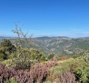 Sur les hauteurs de Pied-de-Borne - Sainte-Marguerite-Lafigère - 3