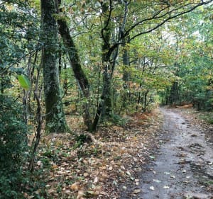 Autour de Puy Méry - Le Vigen - 5