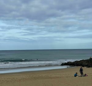 Boucle de Ondres à Capbreton à vélo - Ondres - 3