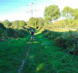 Boucle à partir d'Yvré-le-Pôlin, dans le Bois de St-Hubert à VTT - Yvré-le-Pôlin - 3