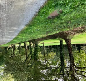 Boucle St. André, Asserac, Tréhé, Chaussée Neuve. - Saint-André-des-Eaux - 4